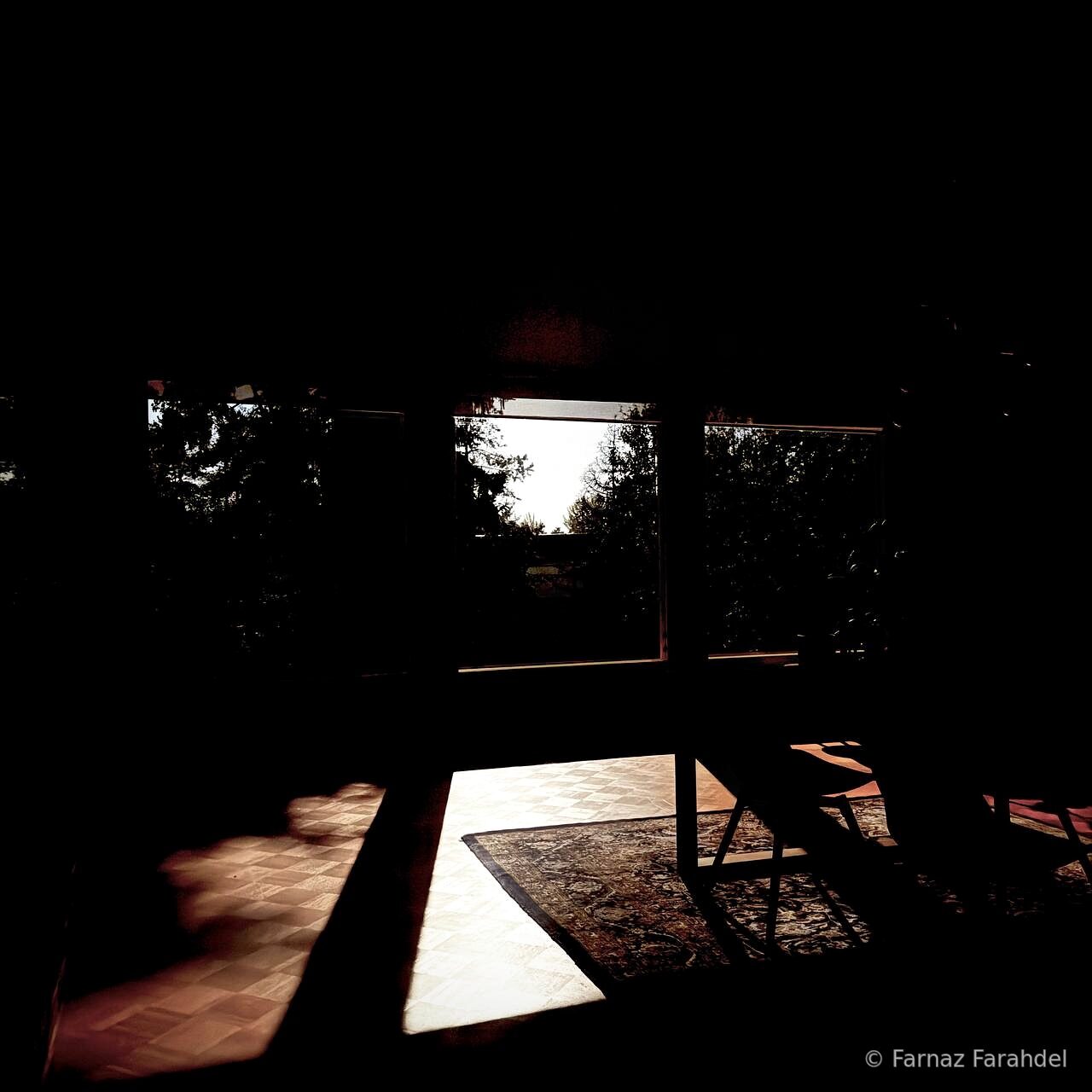 Where the Light Lands