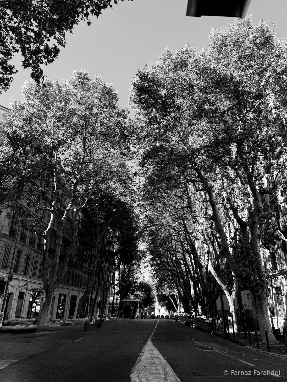 The Street Holds Its Breath