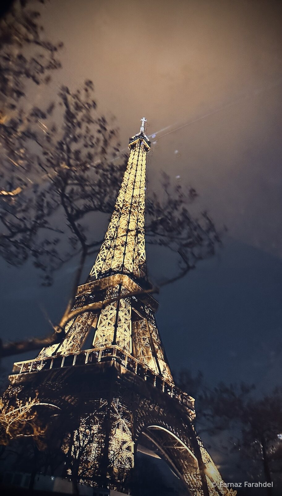 Paris in Passing